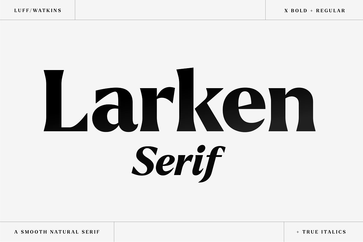 Larken字体全套16字重 包含可变字形 BY EllenLuff
