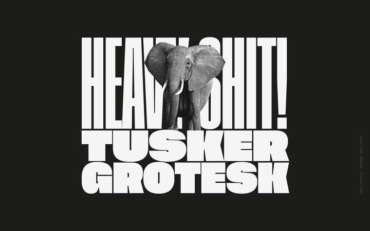 Tusker Grotesk字体全套30字重  by Lewis McGuffie Type