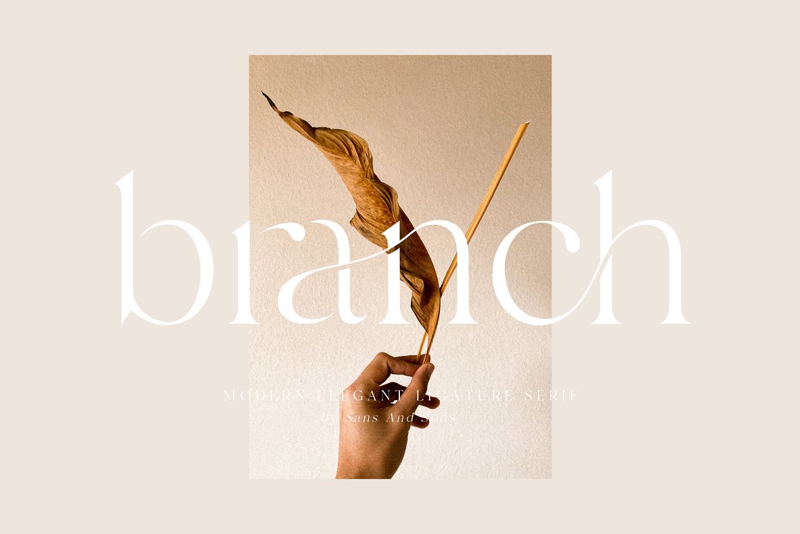 Branch 现代连字衬线体 by Sans & Sons