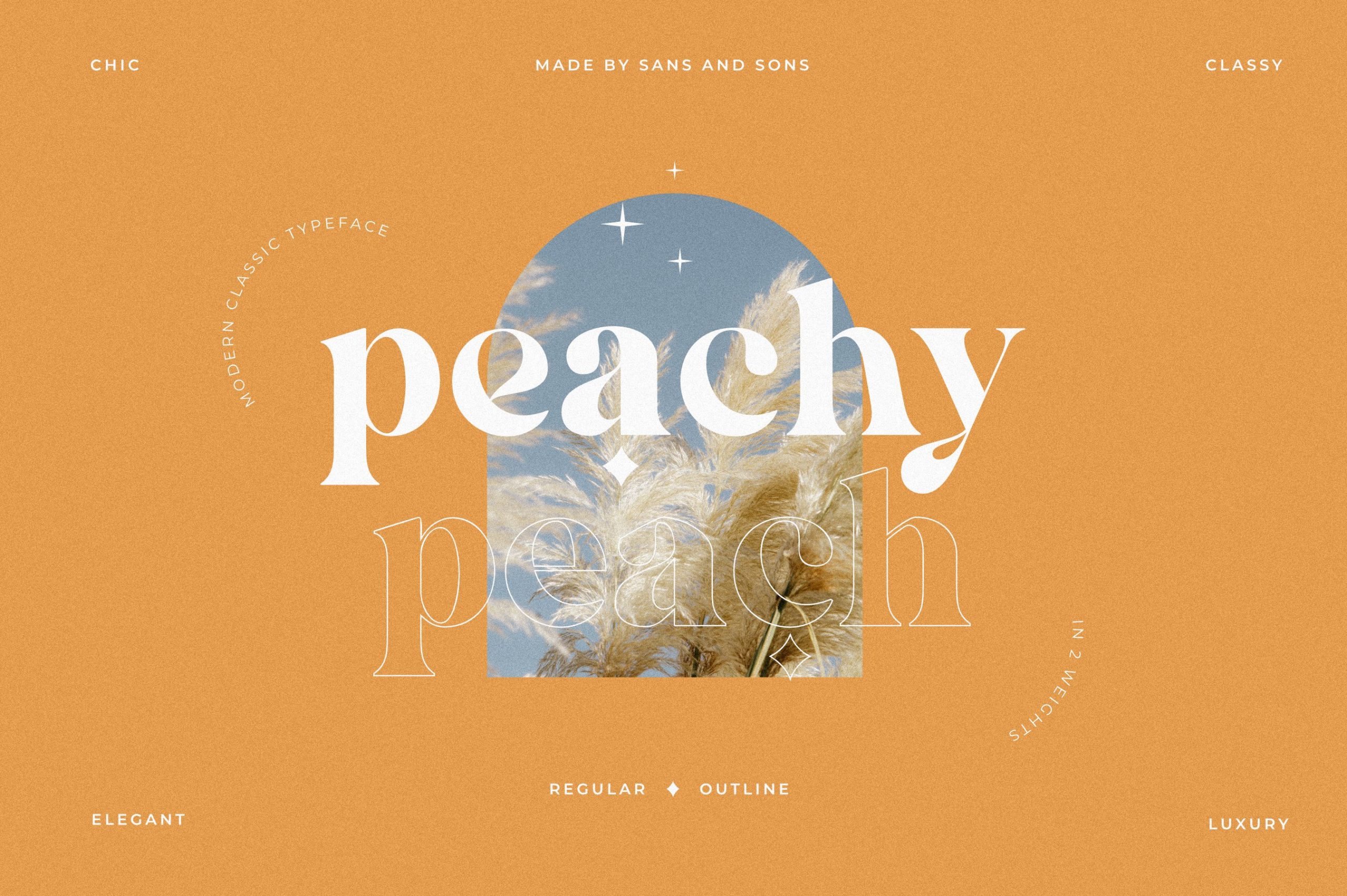 Peach字体全套2字重   By Sans & Sons