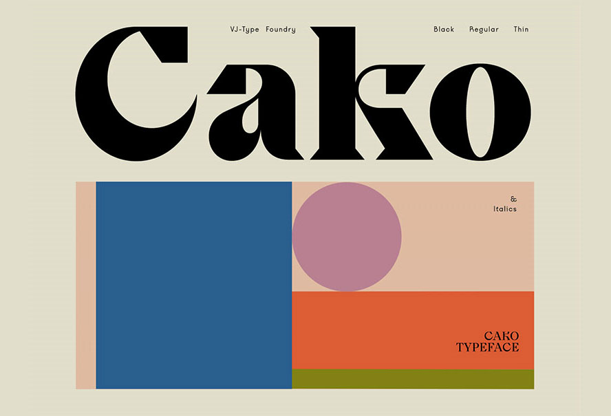 Cako typeface字体全套6字重  细节细腻 末端尖锐衬线字体 by VJ-Type
