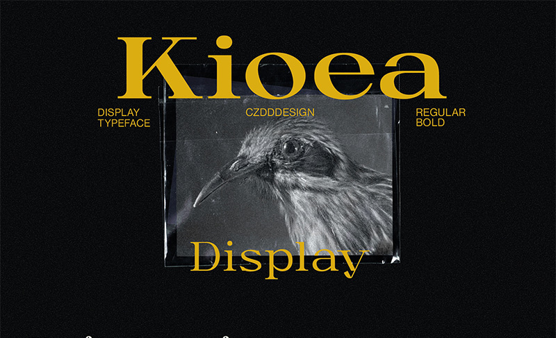 Kioea Display 大气优雅衬线字体 [免费字体] by  Dominik Czank