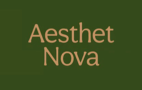 Aesthet Nova字体全套5字重 by The Northern Block