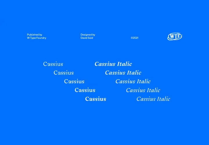 Cassius字体全套12字重 包含可变字形 by W Type Foundry