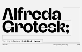 Alfreda grotesque字体全套6字重  怪诞无衬线字体  by Santi Rey