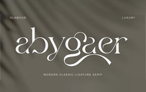Abygaer – 时尚的 OpenType 丰富衬线字体 by Sealoung