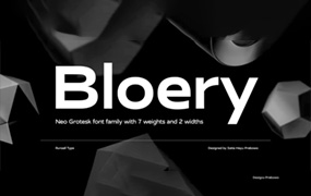 Bloery字体14字重  新怪诞字体  无可变字形  by Runsell Type