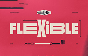 Flexible字体全套18字重   最新的字体技术  包含可变字形  by Art Grootfontein