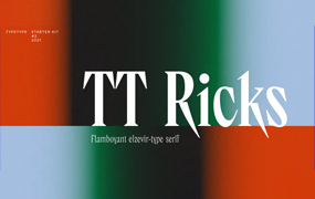 TT Ricks字体全套4字重 包含可变字形  by TypeType