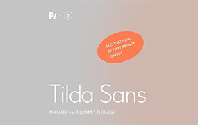 Tilda Sans  几何无衬线字体   可变字形  by ParaType Ltd