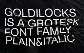 SK Goldilocks字体全套14字重  怪诞的字体家族 by Salih Kizilkaya