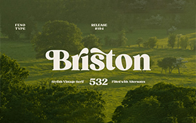 Briston  大胆的复古风格衬线字体 by Fenotype
