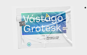 Vastago Grotesk字体9字重 (不含可变字形) by Sudtipos