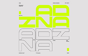 Adina字体全套2字重  未来主义启发的复古显示字体 by Studio Innate