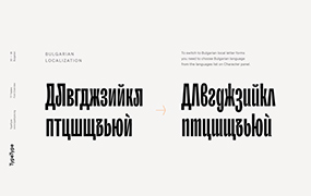 TT Trailers字体全套11字重  含可变字形 by TypeType