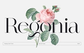 Regonia 高对比度的显示衬线字体 by Narrow Type