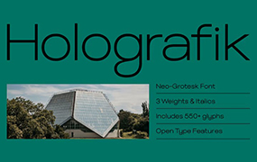 Holografik字体全套6字重 一种 Neo-Grotesk 无衬线字体 by Valley Type