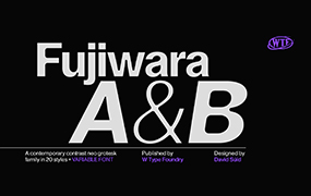 Fujiwara字体全套22字重  by W Type Foundry