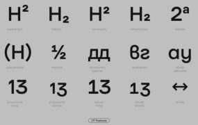 TT Firs Text字体全套23字重  by TypeType